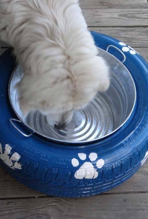 Ideia personalizada para os pets com pneu velho