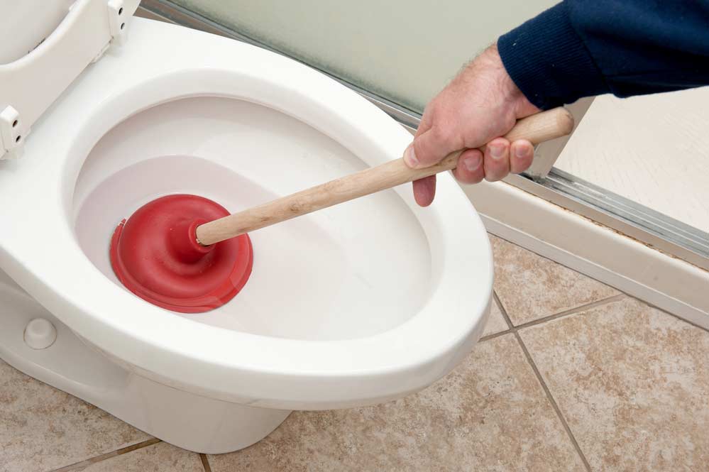 Como desentupir vaso