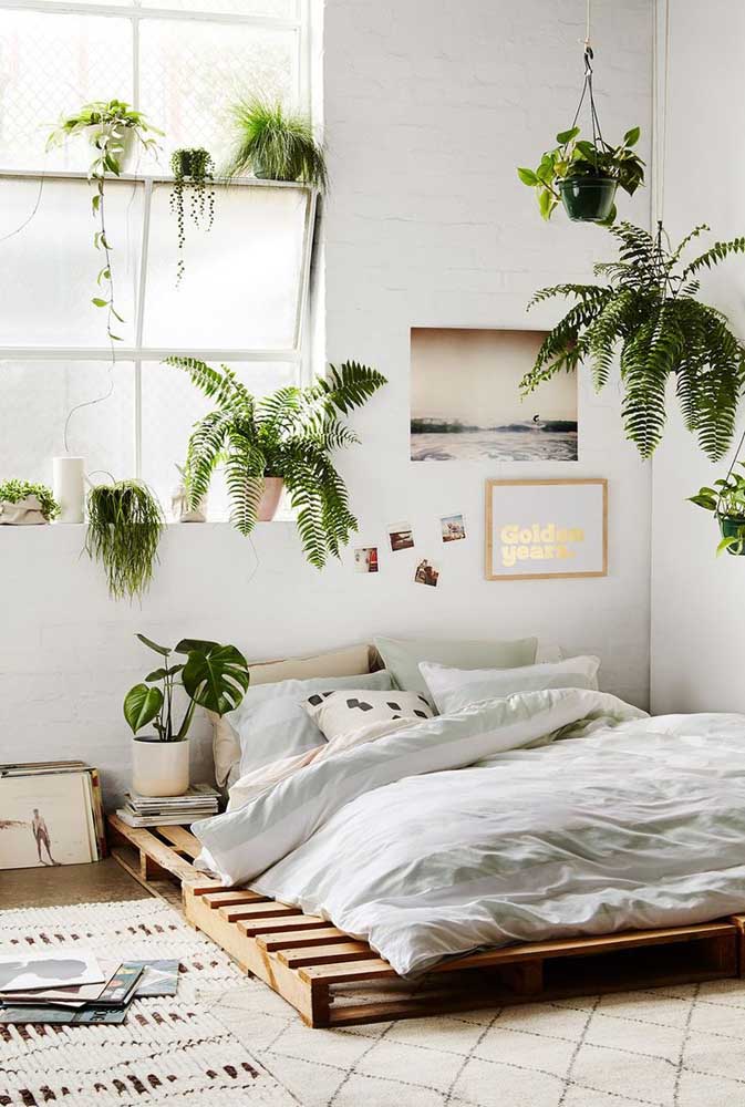Urban jungle no quarto; para completar a proposta naturalista, uma cama de pallets