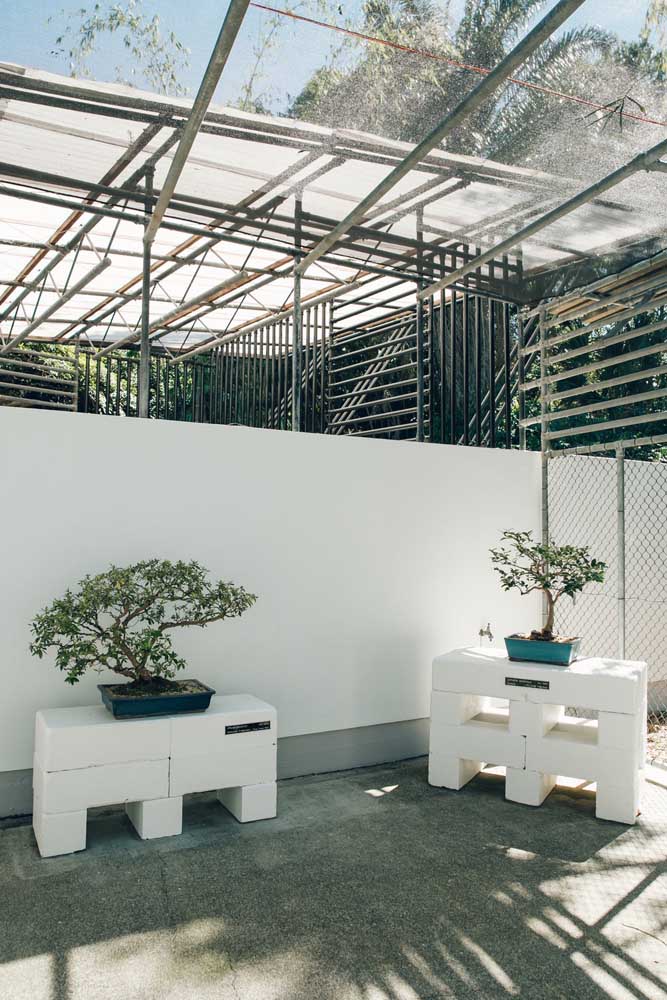 Não tem lugar que não combine com um bonsai!