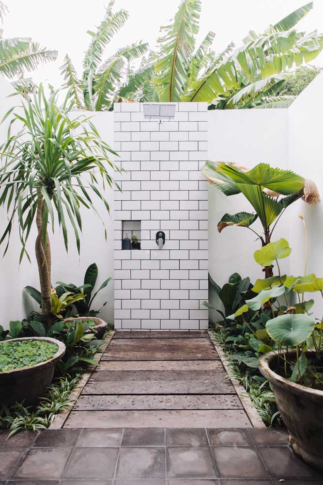 Escolha as plantas do jardim simples a partir do ambiente em que elas serão colocadas, mas, sobretudo, pela disponibilidade que você tem para cuidar delas; essas da imagem, por exemplo, exigem poucos cuidados