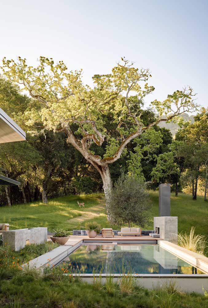 Piscina de fibra cercada por natureza e acompanhada de um charmoso espaço gourmet