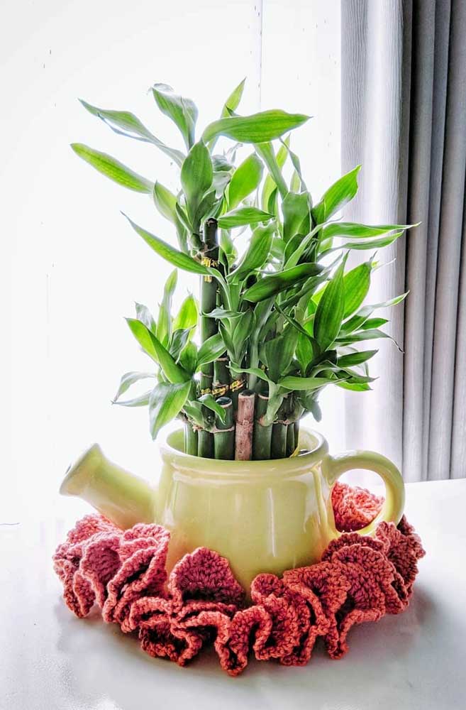 Bambu da Sorte em vaso de cerâmica com formato de bule