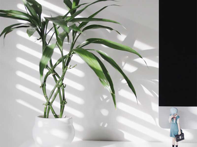 Download Decoracoes de bambu ideias For Free