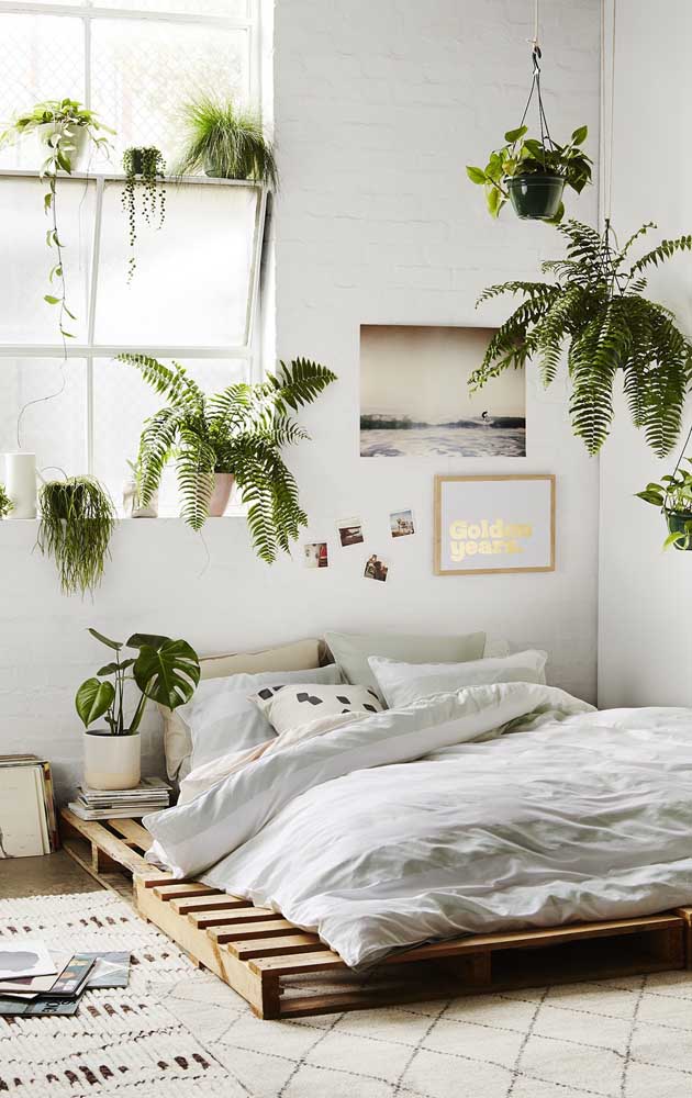 E que tal esse quarto de estilo boho todo decorado com samambaias? Um espetáculo! 