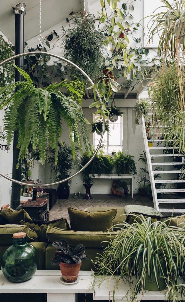 Que belo espaço verde criado nessa casa; a samambaia vem logo à frente, suspensa pelo arco de metal