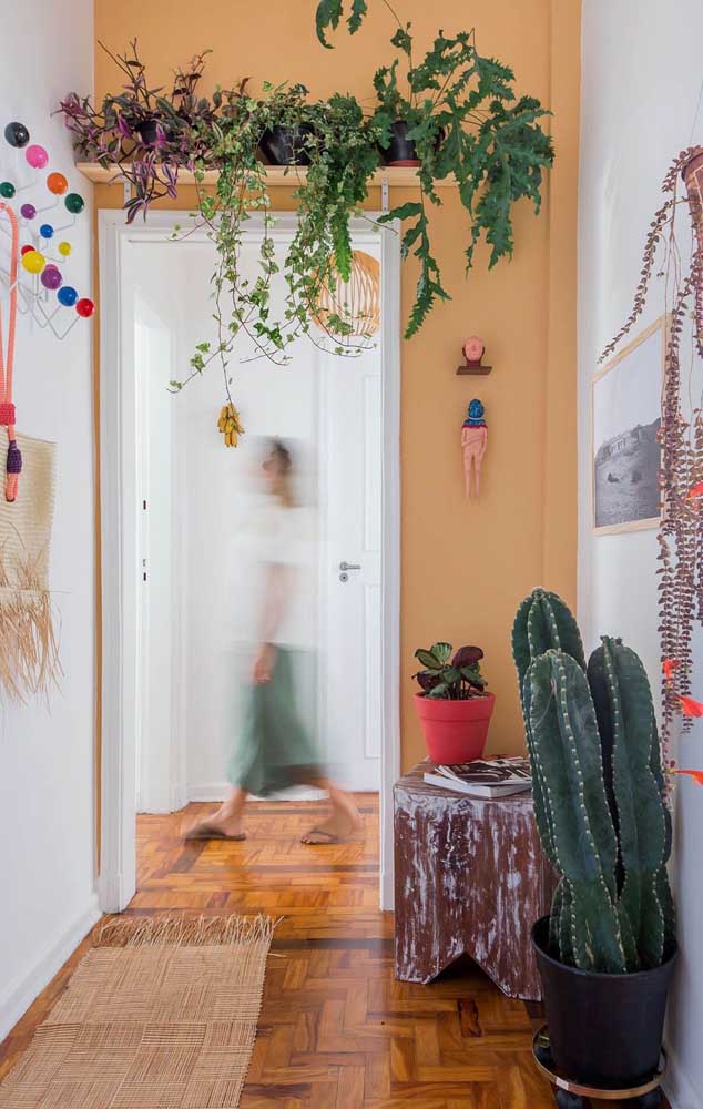 Não sabe como inserir plantas na decoração? Que tal essa ideia, uma prateleira sobre a porta com plantas pendentes, entre elas a samambaia