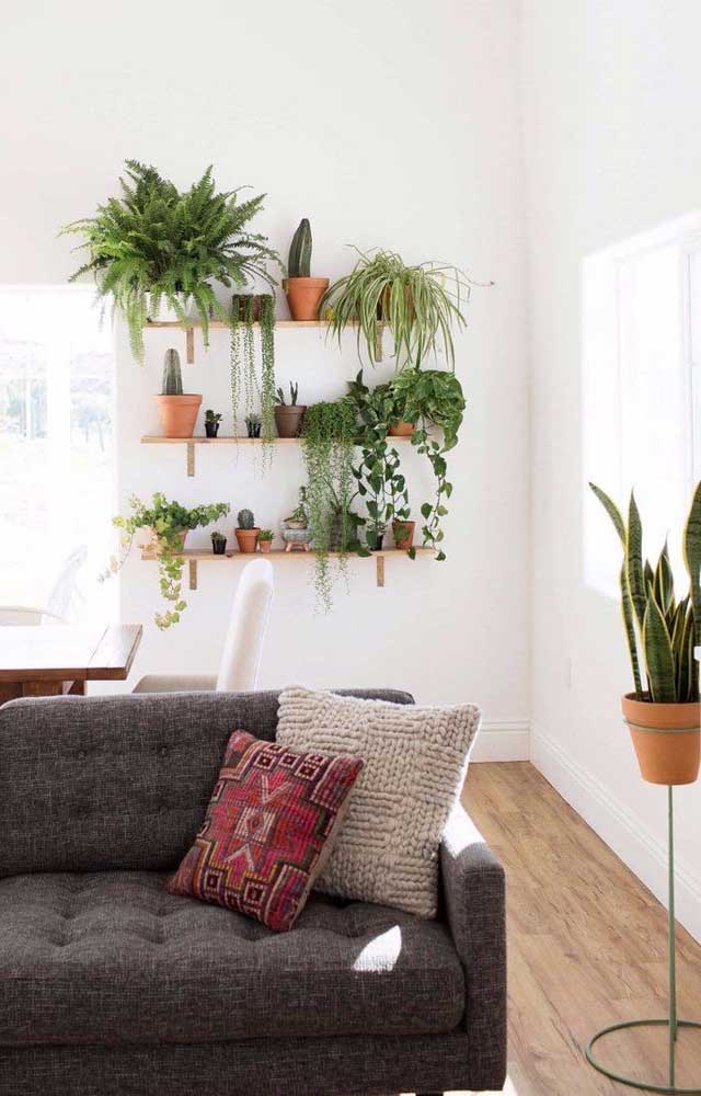 Anote essa receita: prateleiras e plantas! Só isso para criar uma sala de estar encantadora e muito receptiva