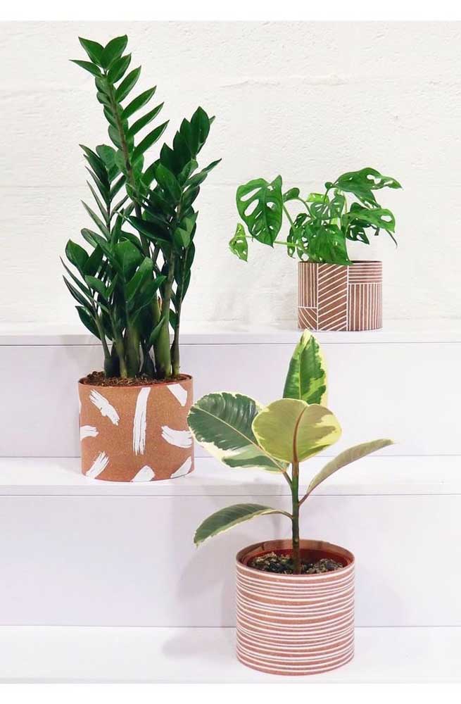 Plantas nos degraus da escada, entre elas a zamioculcas