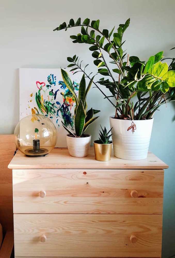 Não sabe como decorar a cômoda do quarto? Experimente alguns vasos de plantas sobre ela, como a zamioculcas, por exemplo