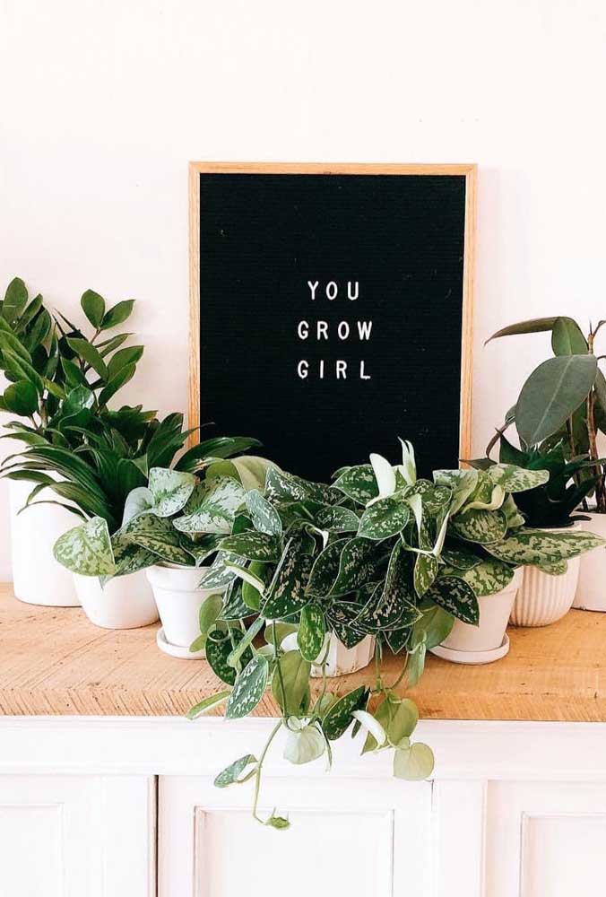 Quadro de letras adornado por plantas de várias espécies, como a zamioculcas