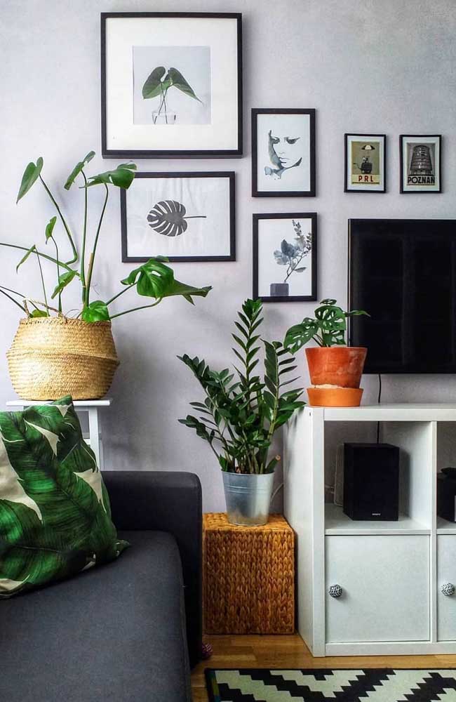 Decorar com plantas nunca é demais, elas podem vir de modo natural ou, ainda, em quadros e almofadas