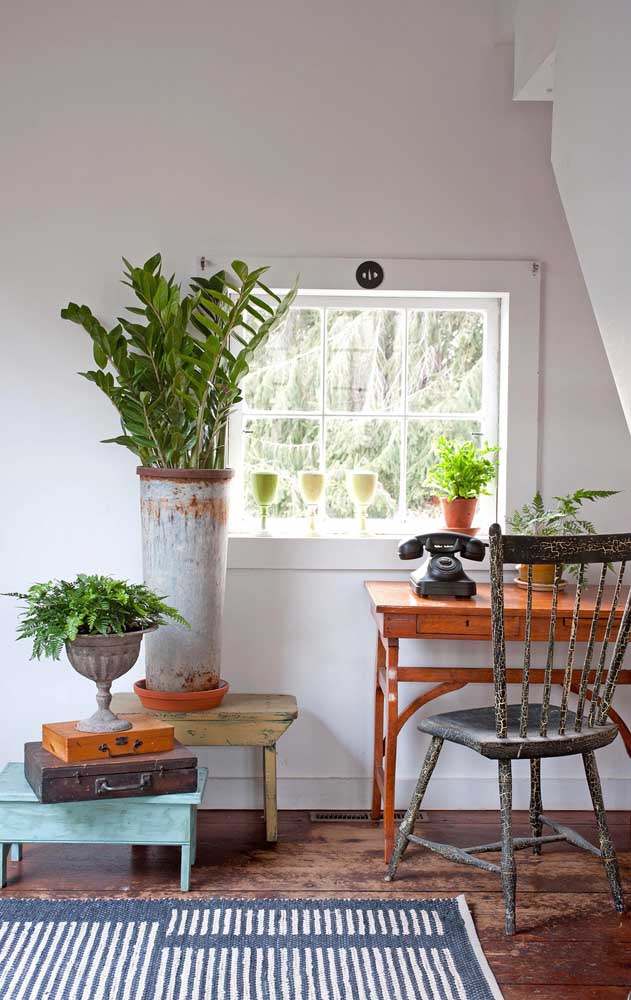 Esse home office retrô com influência Shabby Chic apostou na beleza intensa da zamioculcas