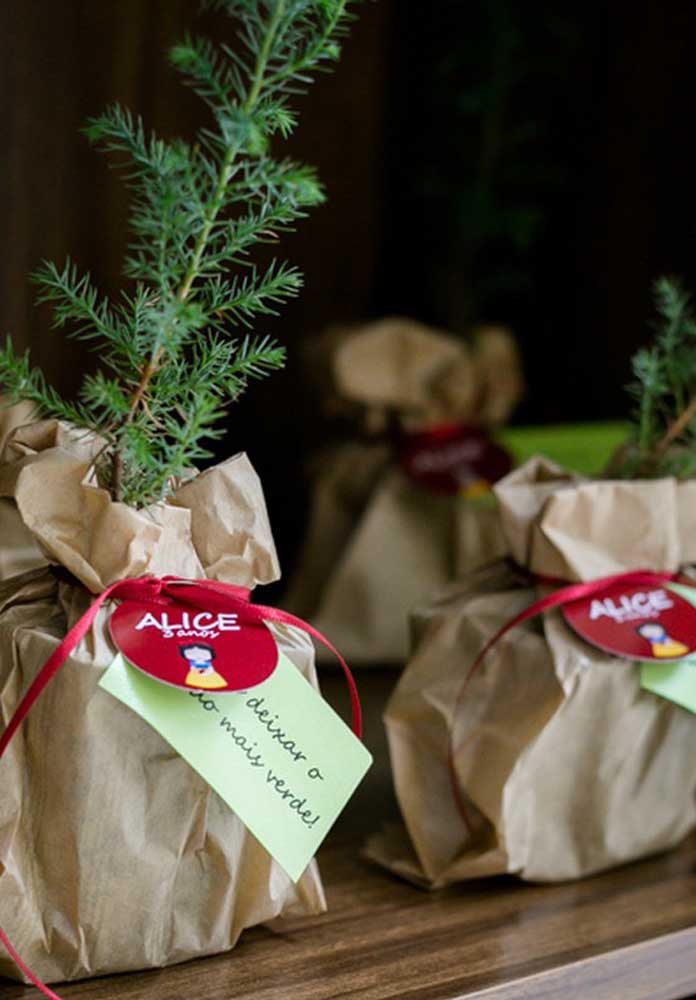 Que tal presentear os convidados com uma muda de planta e assim ajudar o mundo a ficar mais verde.
