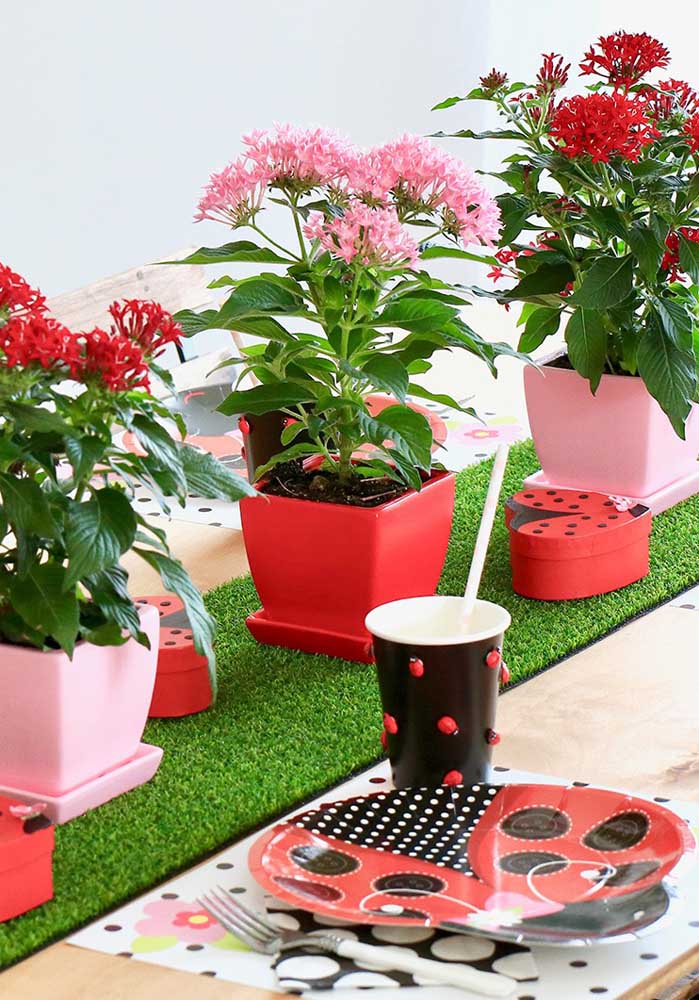 Você pode, por exemplo, usar vaso com flores como centro de mesa Ladybug.