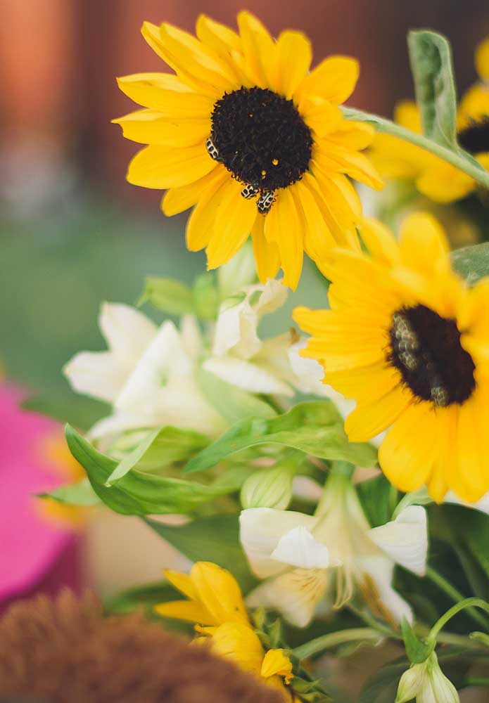 Festa Masha e o Urso: como fazer, personagens, dicas e fotos