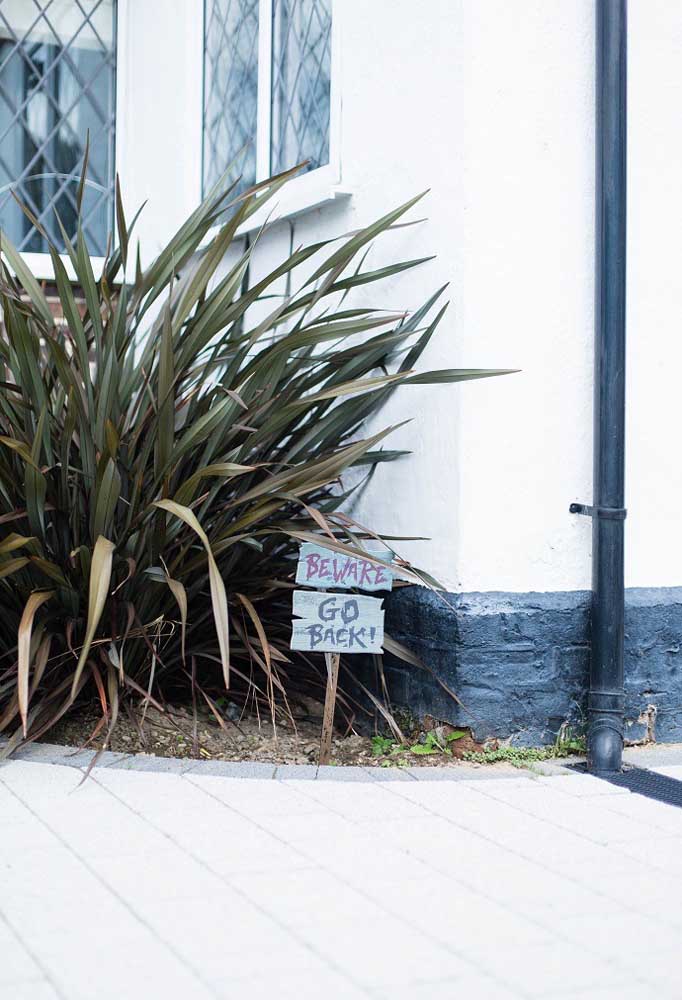 Festa de Halloween: dicas para organizar e 87 ideias criativas