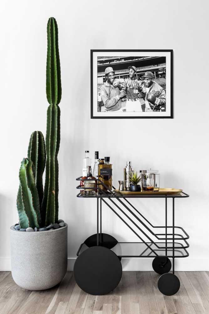 Barzinho para sala: tipos, modelos, como montar e fotos