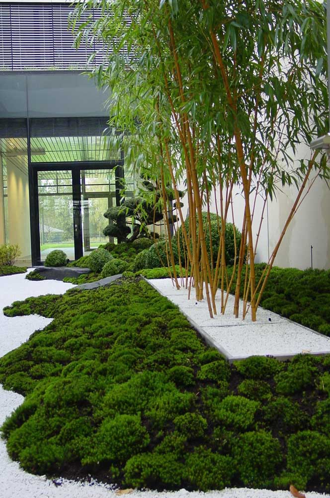 Decoração de jardim: tipos, como fazer, dicas e fotos inspiradoras