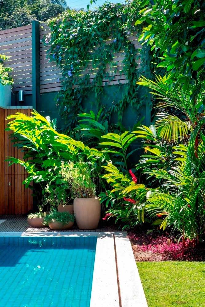 Decoração de jardim: tipos, como fazer, dicas e fotos inspiradoras