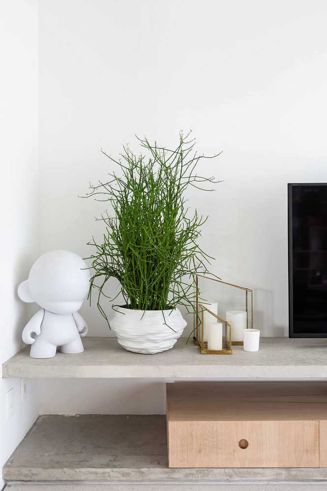 Enfeites para sala: como escolher, dicas e ideias inspiradoras