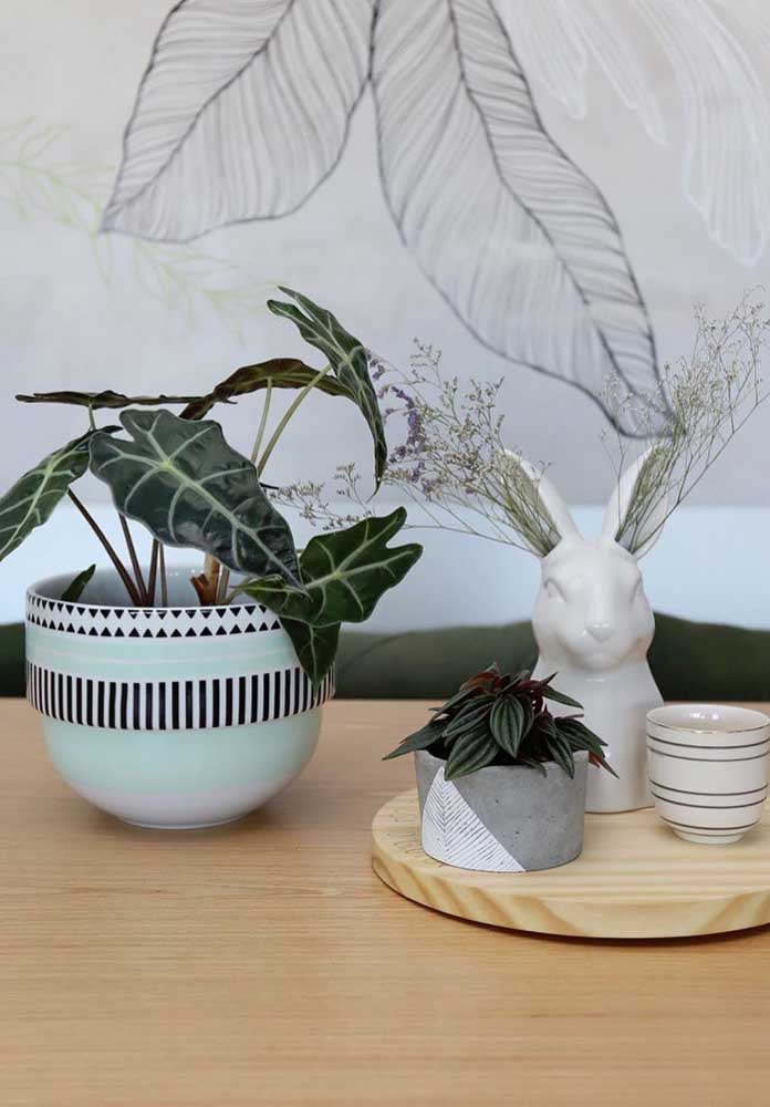 Enfeites para sala: como escolher, dicas e ideias inspiradoras