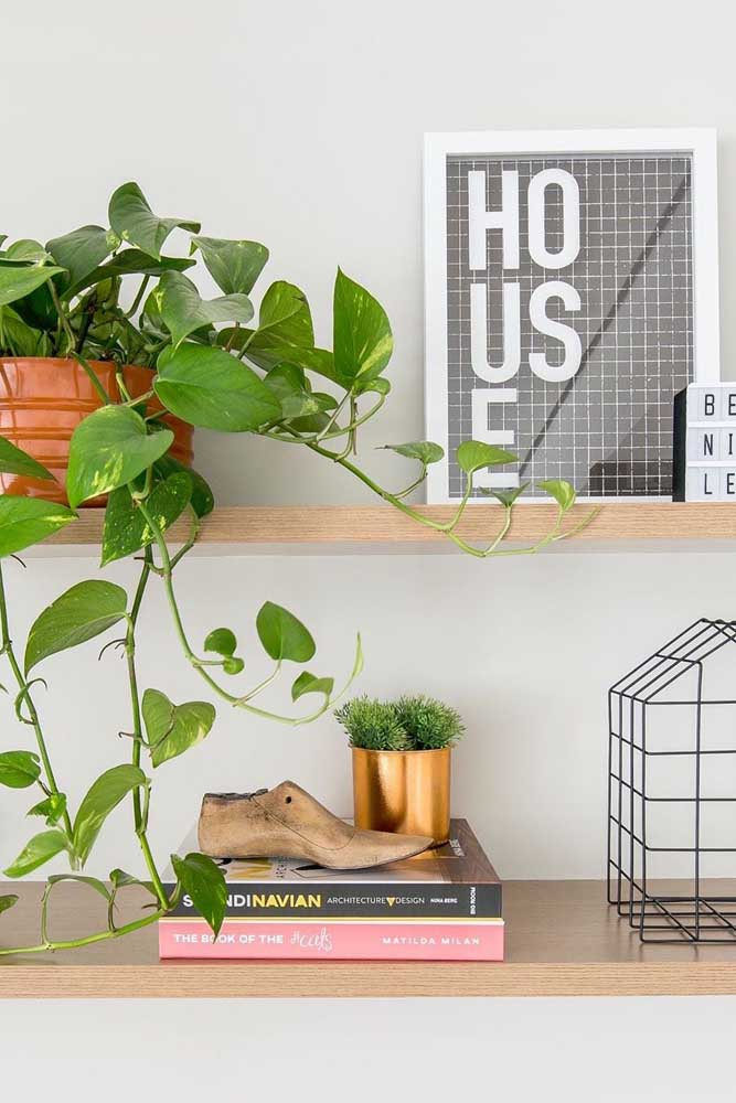 Enfeites para sala: como escolher, dicas e ideias inspiradoras