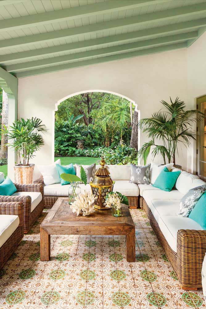 Palmeira ráfia: características, como cuidar, dicas e fotos de decoração