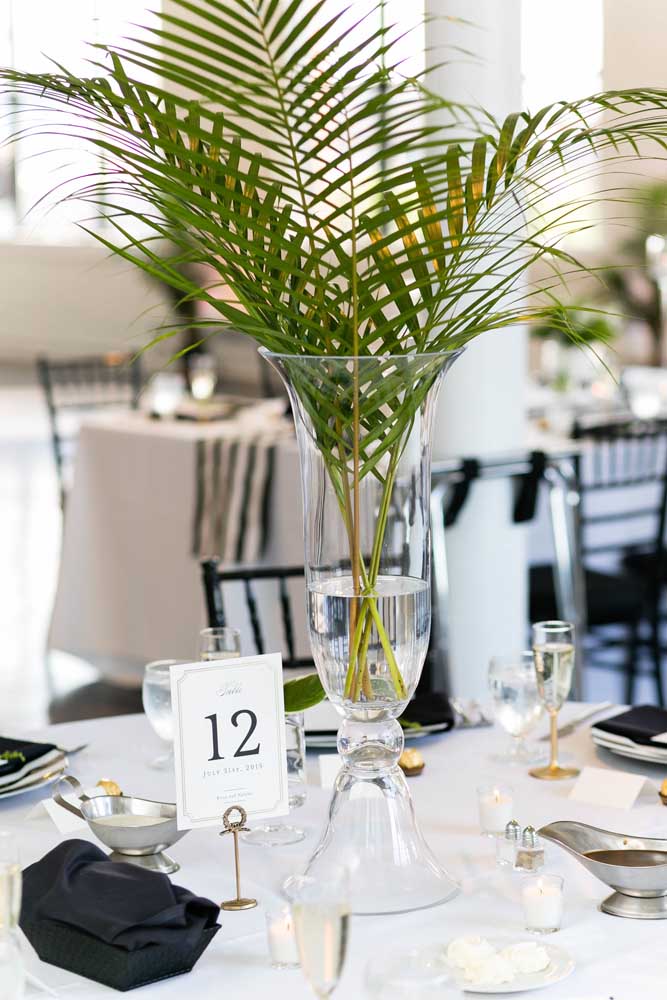 Palmeira ráfia: características, como cuidar, dicas e fotos de decoração