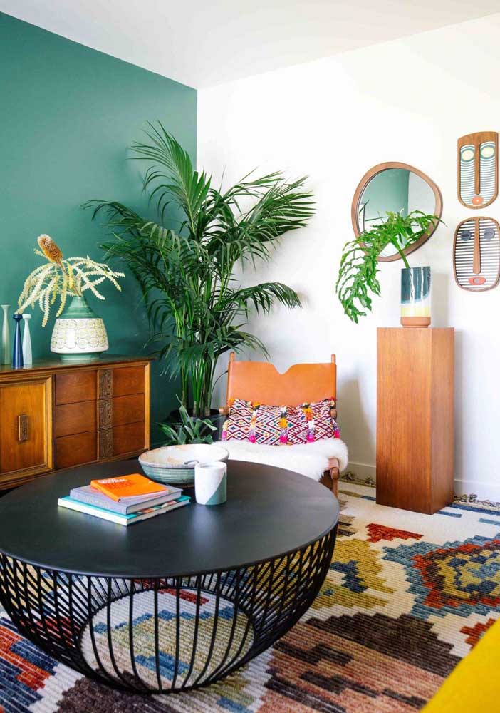 Palmeira ráfia: características, como cuidar, dicas e fotos de decoração