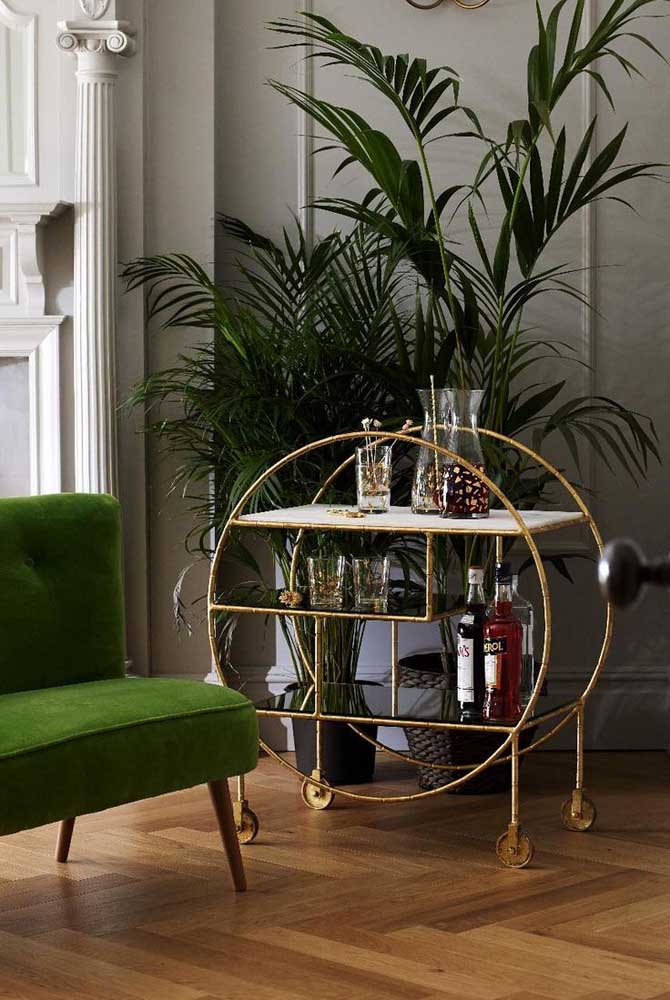 Palmeira ráfia: características, como cuidar, dicas e fotos de decoração