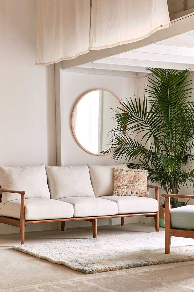 Palmeira ráfia: características, como cuidar, dicas e fotos de decoração