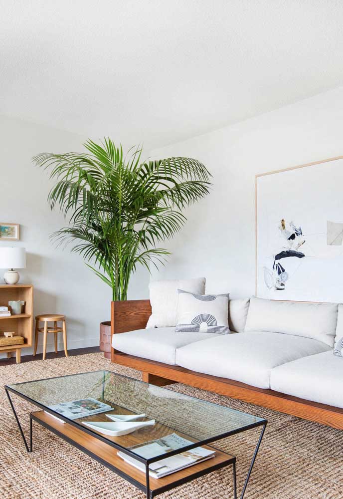 Palmeira ráfia: características, como cuidar, dicas e fotos de decoração