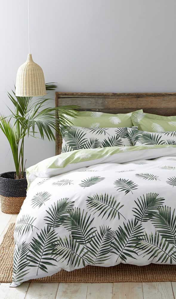 Palmeira ráfia: características, como cuidar, dicas e fotos de decoração