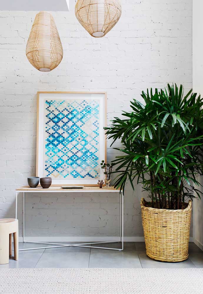 Palmeira ráfia: características, como cuidar, dicas e fotos de decoração