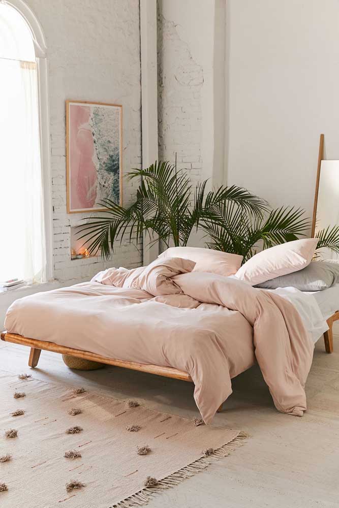 Palmeira ráfia: características, como cuidar, dicas e fotos de decoração