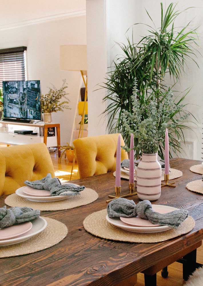 Plantas para sala: tipos, benefícios, dicas e fotos de decoração