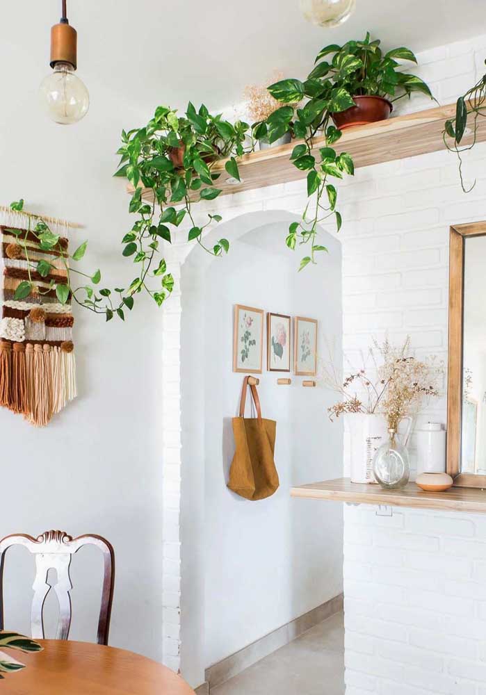 Plantas para sala: tipos, benefícios, dicas e fotos de decoração