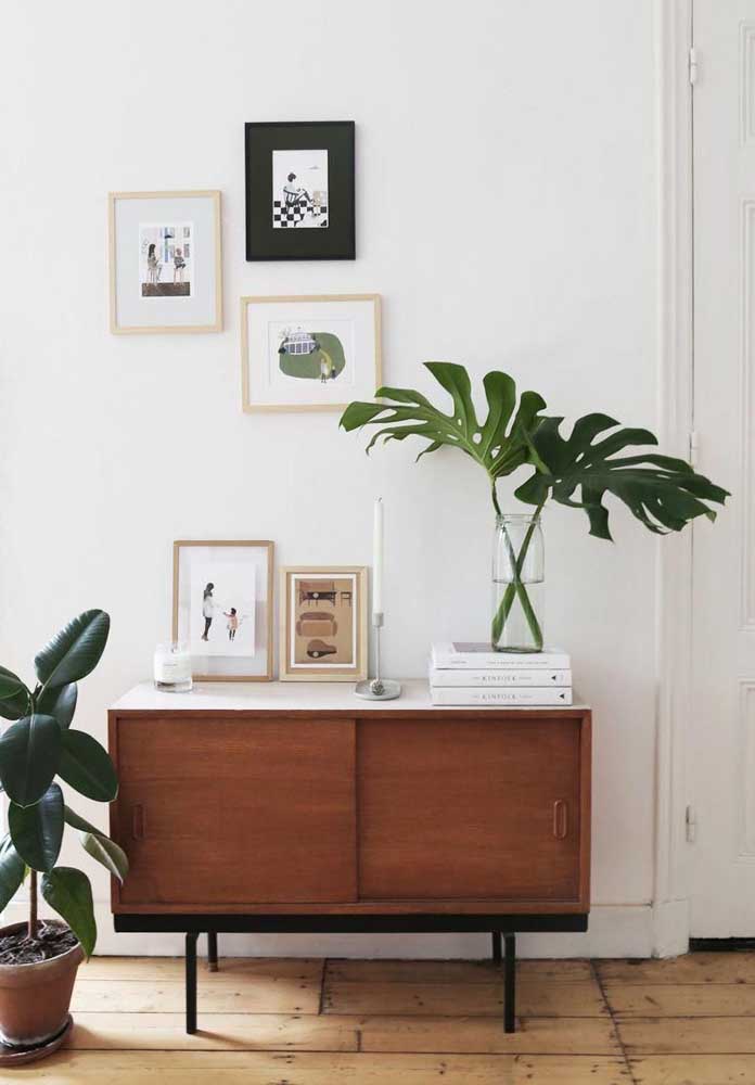 Plantas para sala: tipos, benefícios, dicas e fotos de decoração