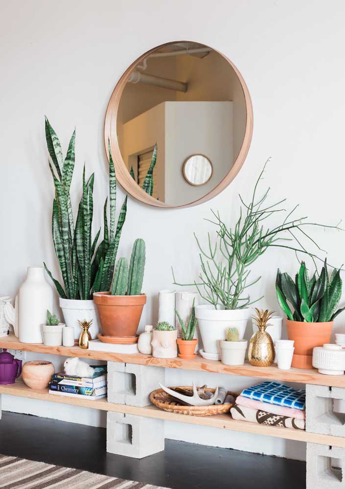 Plantas para sala: tipos, benefícios, dicas e fotos de decoração