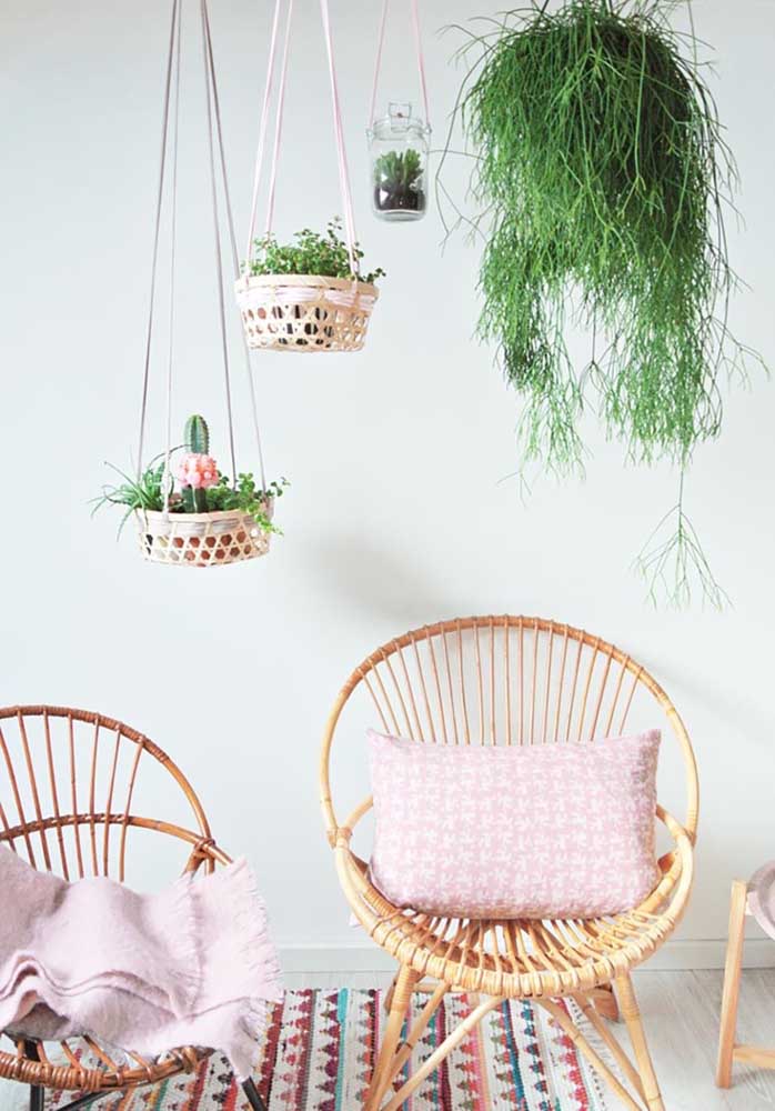 Plantas para sala: tipos, benefícios, dicas e fotos de decoração