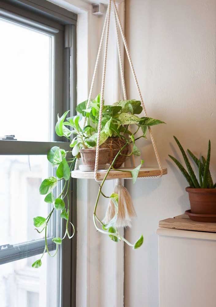 Plantas para sala: tipos, benefícios, dicas e fotos de decoração