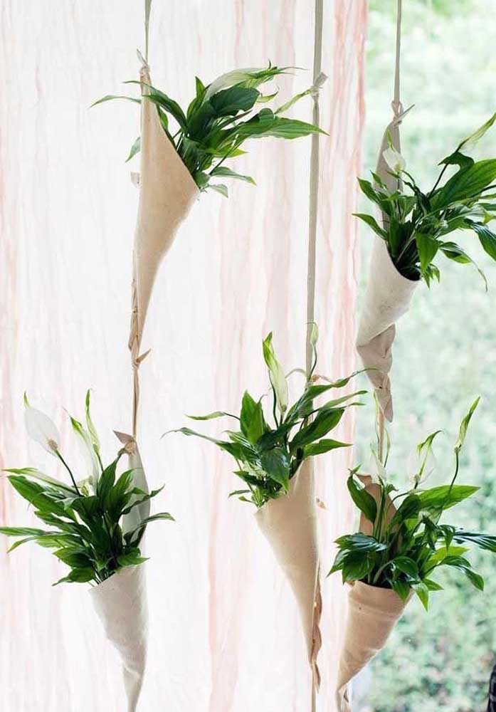 Plantas para sala: tipos, benefícios, dicas e fotos de decoração