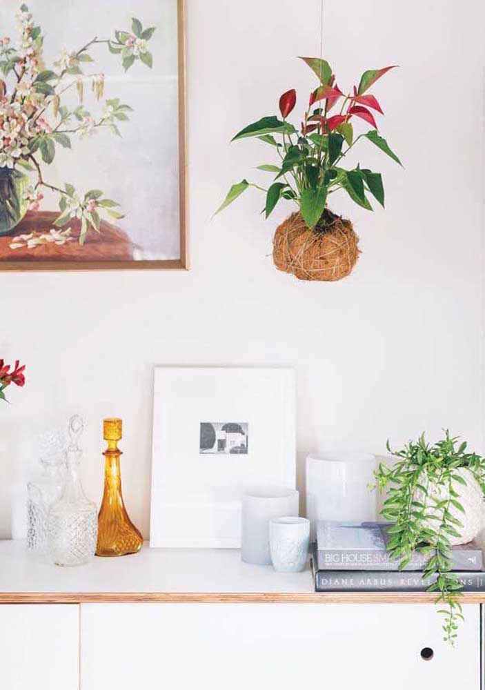 Plantas para sala: tipos, benefícios, dicas e fotos de decoração