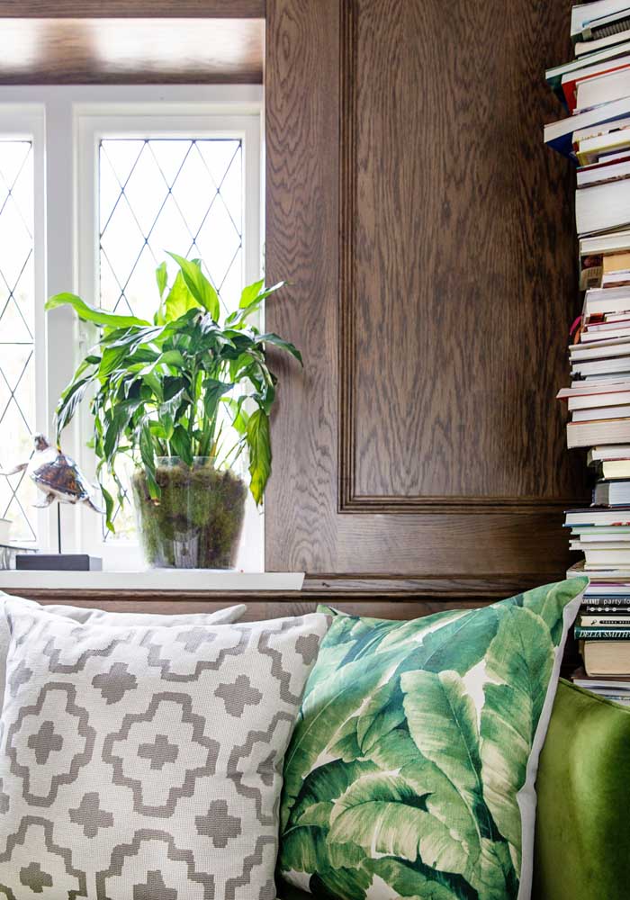 Plantas para sala: tipos, benefícios, dicas e fotos de decoração