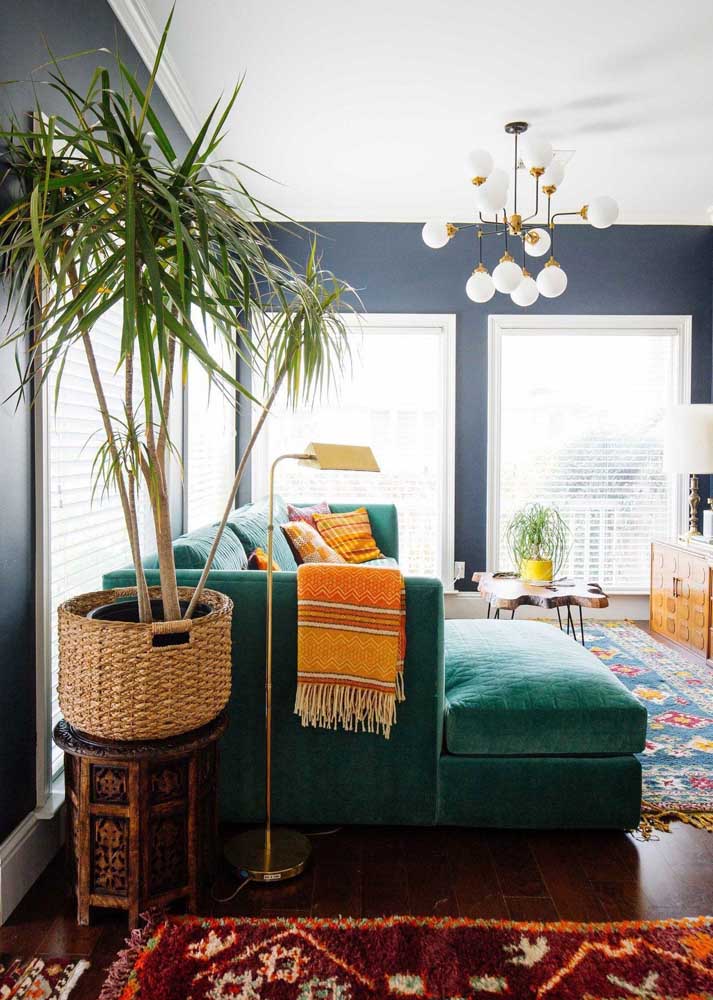 Plantas para sala: tipos, benefícios, dicas e fotos de decoração