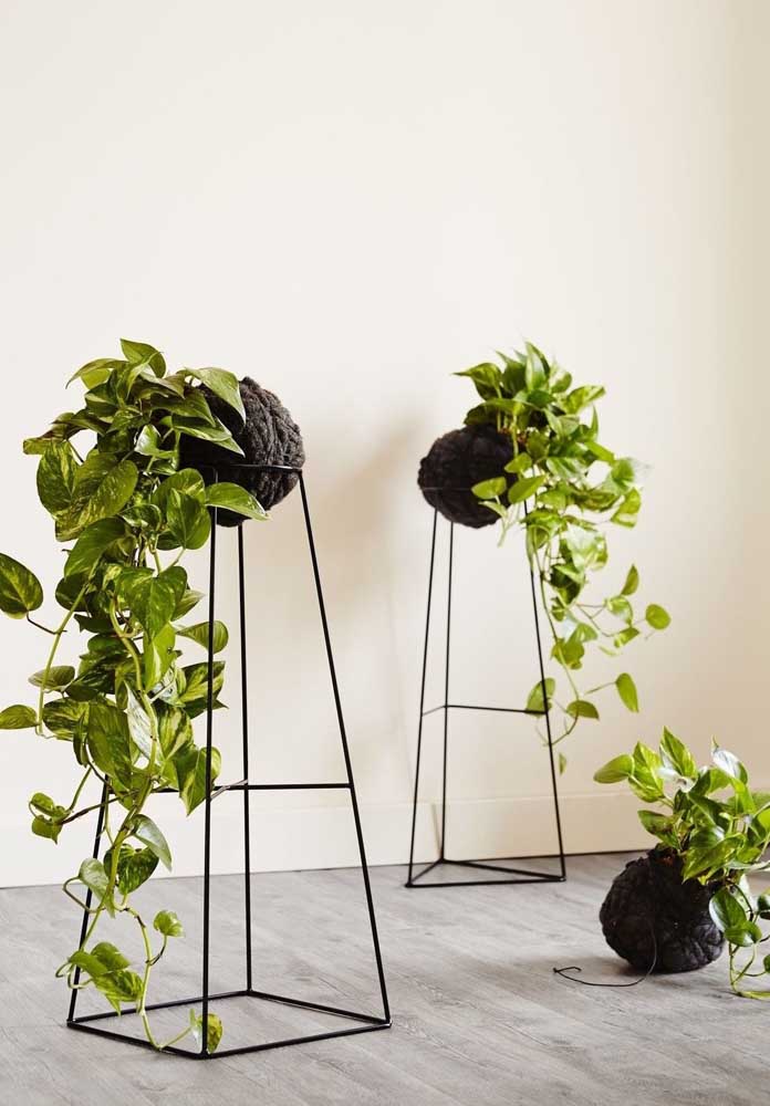 Plantas para sala: tipos, benefícios, dicas e fotos de decoração