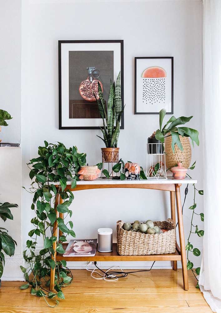 Plantas para sala: tipos, benefícios, dicas e fotos de decoração