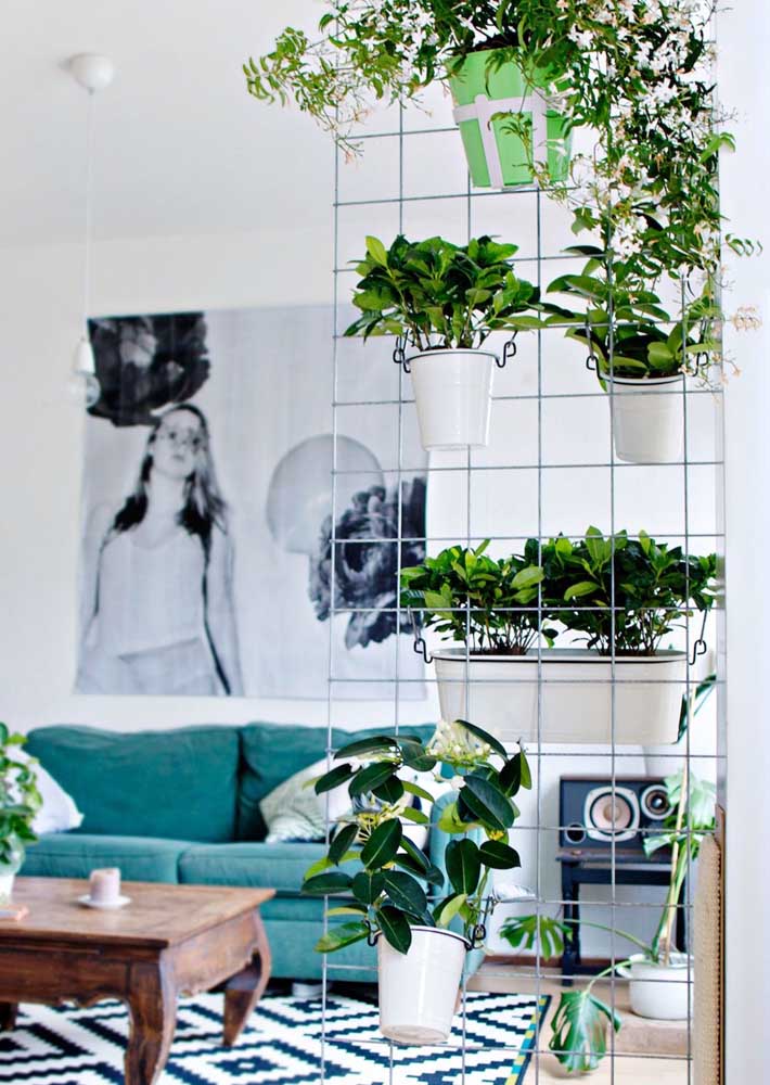 Plantas para sala: tipos, benefícios, dicas e fotos de decoração