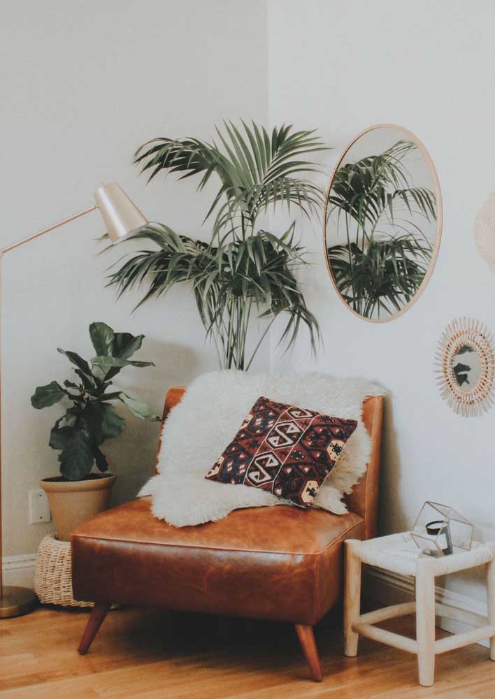 Plantas para sala: tipos, benefícios, dicas e fotos de decoração